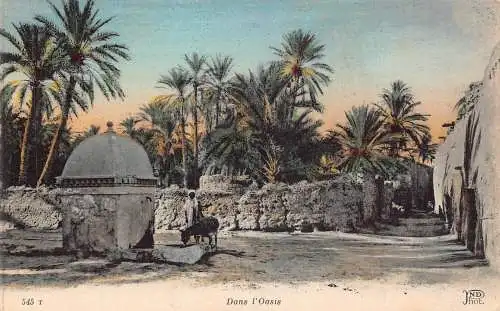 B019 Algerien Dans l'Oasis Well Donkey Vintage Postkarte