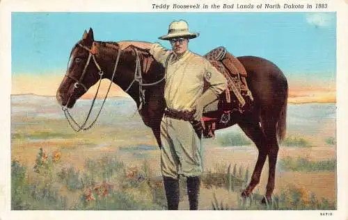 B040 Präsident Teddy Roosevelt in Bad Lands of North Dakota Pferd Postkarte