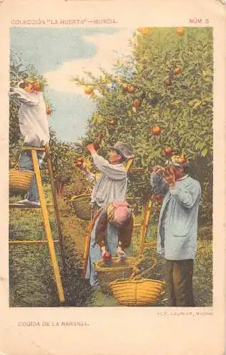B032 Spanien Jobtypen Arbeiter sammeln Orangen Naranja Postkarte