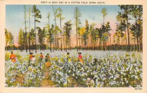 B043 Ethno Americans Busy Day in Cotton Field Down South Slaves Postkarte
