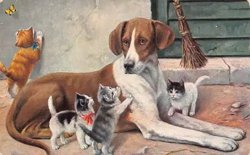 B044 Tiere Verspielte Kätzchen rund um Hund Foxhound Rasse Vintage Postkarte