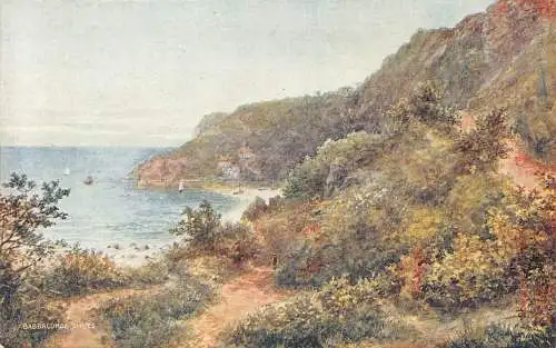 England Babbacombe Slopes Vintage Postkarte