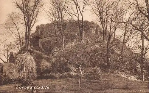 England Totnes Castle Vintage Postkarte