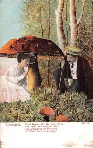 B046 Liebesroman Fantasy Paar Gespräch unter Riesenpilz Glueckspilz Postkarte