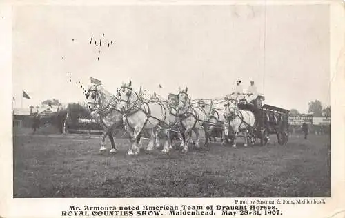 B036 England Maidenhead 1907 Armours American Team Draught Horses Show Postkarte