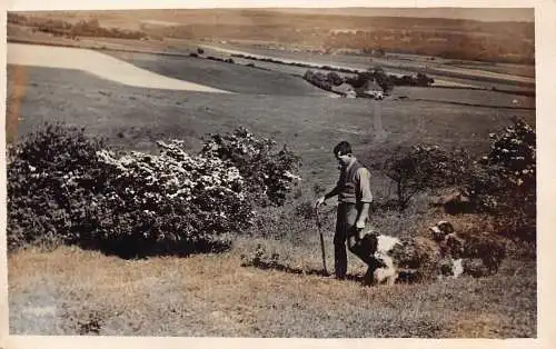 Echt Foto Schäferhund gefolgt von zwei Hunden Vintage Postkarte