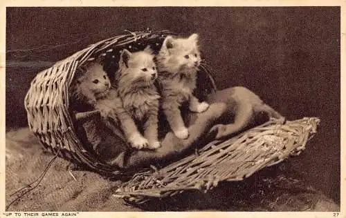 Bis zu ihren Spielen wieder 1939 Drei Kätzchen im Korb Vintage Postkarte