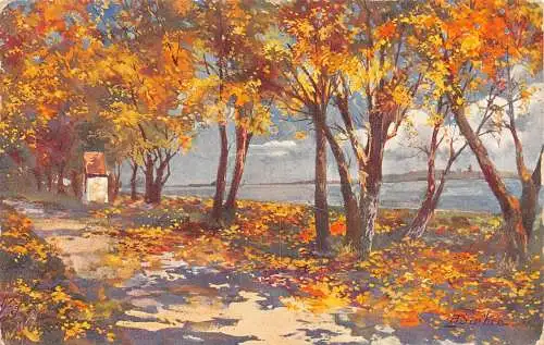 Landschaft Herbst Bäume mit goldenen Blättern entlang der Straße Vintage Postkarte