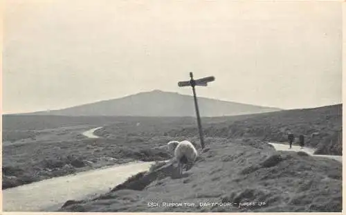 England Rippon Tor Dartmoor Straßenschild Vintage Postkarte