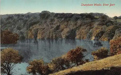 England Sharpham Woods River Dart Vintage Postkarte