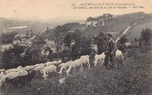 C098 Frankreich Arques La Bataille Hirte mit Schaf Vintage Postkarte