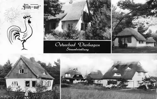 B049 Deutschland 1964 Ostseebad Dierhagen Stransiedlung Bauernhof Hahn Postkarte