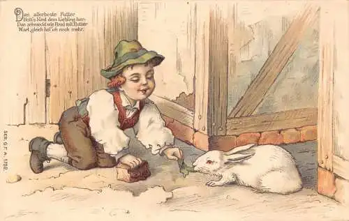 B045 Tiere freundlicher Junge bietet weißem Kaninchen Essen Vintage Postkarte