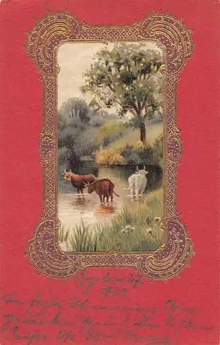 B047 Natur 1903 Passepartout Ochsen Baden im See Vintage Postkarte