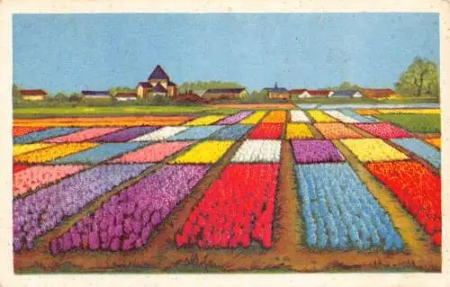 B027 Niederlande Buntes Tulpenfeld Vintage Postkarte