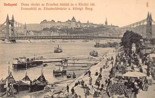 B053 Ungarn Donau Ansicht Elisabethbrücke Königliches Schloss Boote Vintage Postkarte
