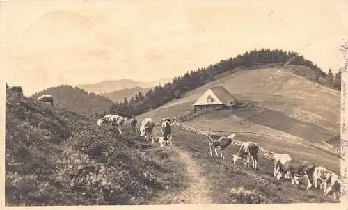 L205 Deutschland 1926 Baden Weller Kühe Haus Bauer Vintage Postkarte
