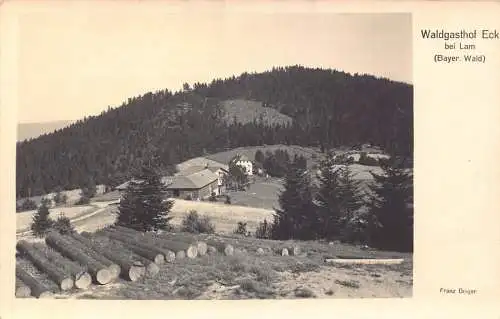 L203 Deutschland Bayerischer Wald Waldgasthof Eck bei Lam Vintage Postkarte