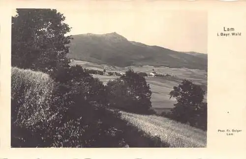 L203 Deutschland Bayerischer Wald Lam Vintage Postkarte