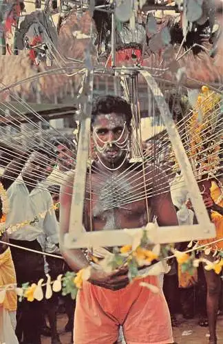 B025 Singapur Thaipusam Festival Ureinwohner Mann kümmert sich um Kadavi ethnische Postkarte