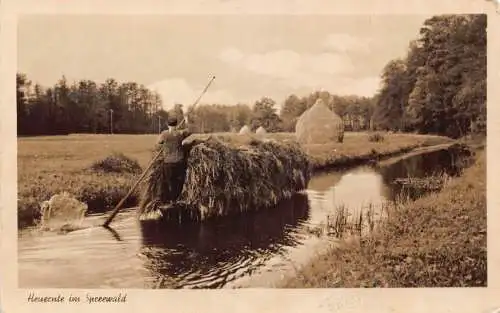 L201 Deutschland Heuernte im Spreewald Boot mit Heu RPPC Vintage Postkarte