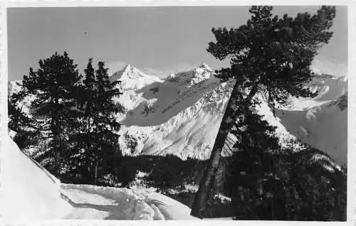 L072 Schweiz Ob Arosa, Arlenwald- Promenade, Schnee Echtfoto Postkarte