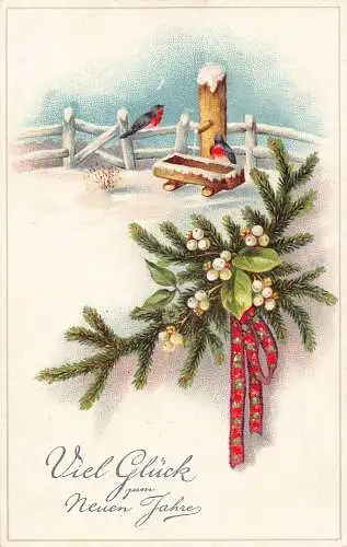 B046 Neujahrsgrüße Mistelzweig Schwalbe Vögel am Brunnen Schneeband Postkarte