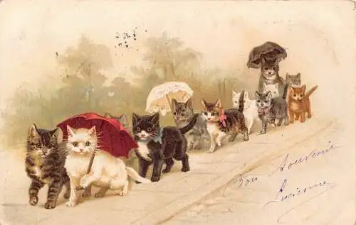L081 Frankreich 1903 Katzen spazierender Regenschirm vermenschlicht Comic Humor Postkarte