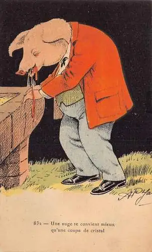 L081 Anthropomorphes Schwein Comic Humor Karikatur signiert Vintage Postkarte