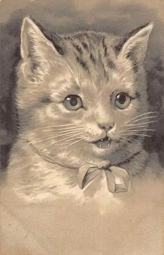 L081 Fantasy Katze Portrait geprägte Künstler Postkarte