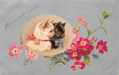L081 Frankreich 1904 Katzen Blumenportrait Comic Postkarte