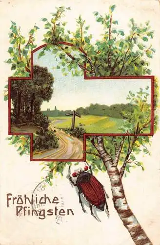 B047 Pfingstgrüße 1907 Maikäfer Passepartout Landschaft Birke Baum Postkarte