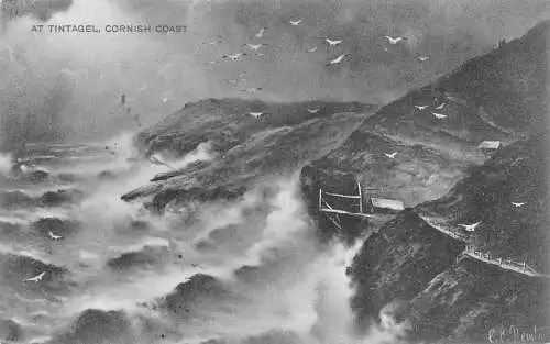 England 1905 Tintangel Cornish Coast Seagulls Vintage Postkarte