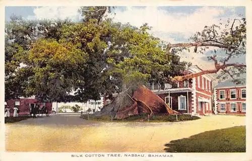 Bahamas Nassau Seide Baumwolle Baum Vintage Postkarte