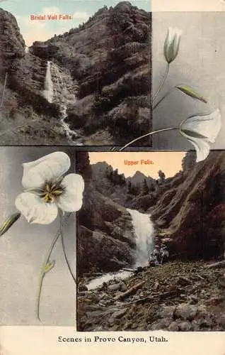 US Utah Provo Canyon Brautschleier Falls Upper Falls Blumen Vintage Postkarte