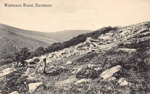B056 England Dartmoor Wistmans Wood Vintage Postkarte