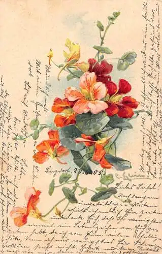 B060 Blumen 1905 Stiefmütterchen geprägt Vintage Postkarte