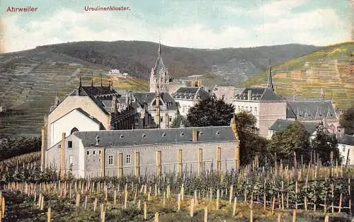 A107 Deutschland Ahrweiler Ursulinenkloster Kreuzgang Weinberg Vintage Postkarte