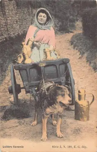 Flämisches Milchmädchen Laitiere Flamande Hund gezogener Wagen Vintage Postkarte