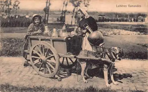 Flämisches Milchmädchen Laitiere Flamande Hund gezogener Wagen Vintage Postkarte