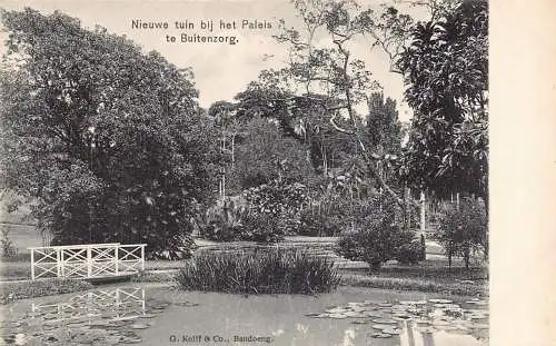 L228 Indonesien Niederländisch Ostindien Buitenzorg Vintage Postkarte