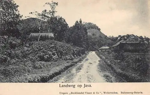 L228 Indonesien Niederländisch Ostindien Landstraße auf Java Vintage Postkarte