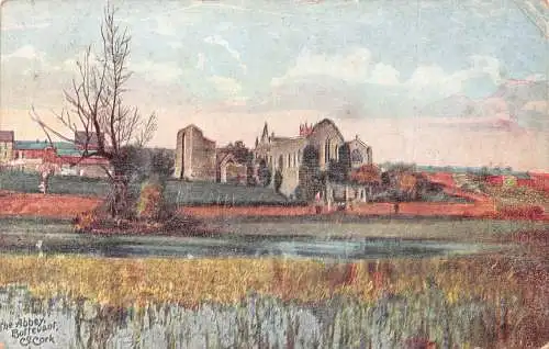 B064 Irland 1905 Abbey Buttevant Co Cork Vintage Postkarte