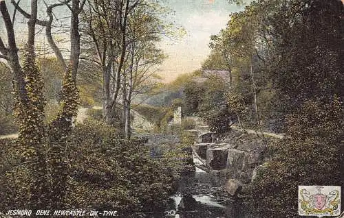 B065 England Jesmond Dene Newcastle on Tyne Vintage Postkarte