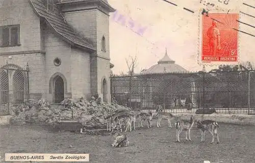 L356 Argentinien 1912 Buenos Aires Zoo Garten Jardin Zoologico Hirsche Postkarte