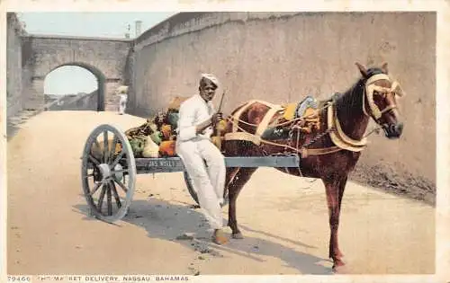 Marktlieferung Nassau, Bahamas Pferdewagen Verkäufer Vintage Postkarte