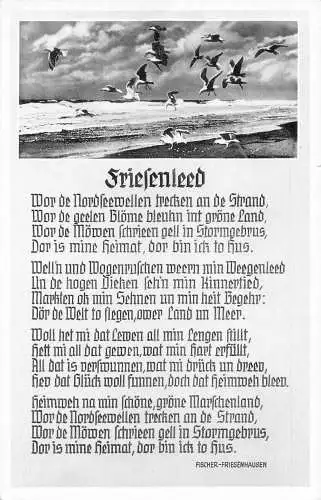 Friesenleed Gedicht signiert Fischer Friesenhausen Möwen Meer Postkarte