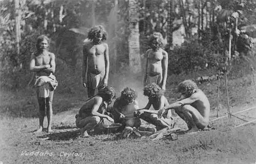Sri Lanka Veddahs Ceylon Männer machen Essen in der Natur Vintage Postkarte