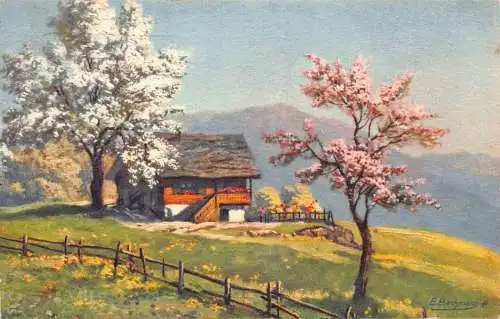 Kunst signiert E Bachmann Spring Mountain Side Blooming Trees 1945 Postkarte