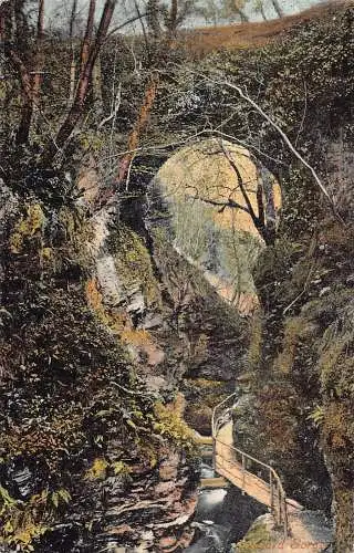 A127 England Ludford Gorge Forest Vintage Postkarte